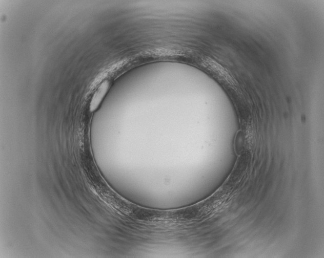 X0000060260732200511181353