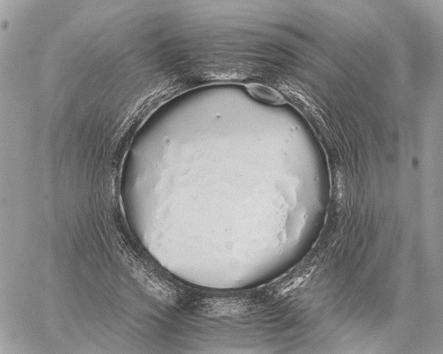 X0000060260733200511181353