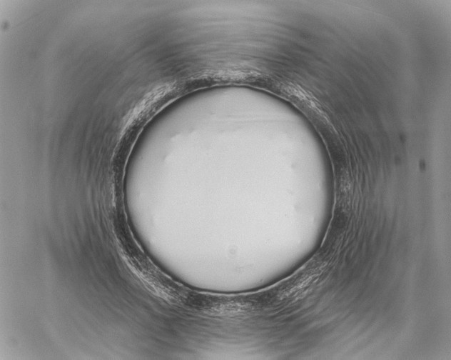 X0000060260734200511181353