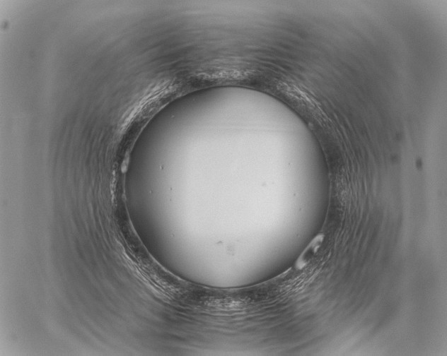 X0000060260735200511181353