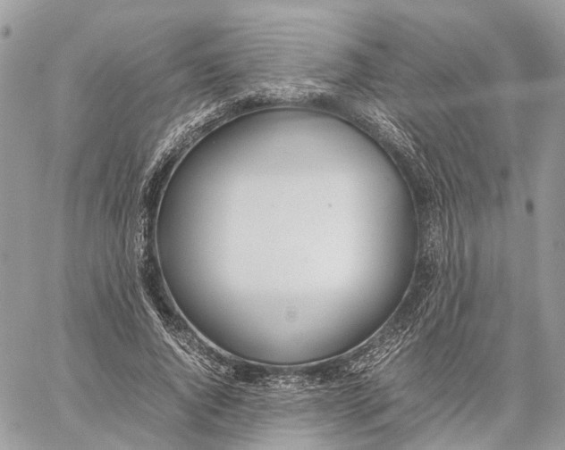 X0000060260736200511181353