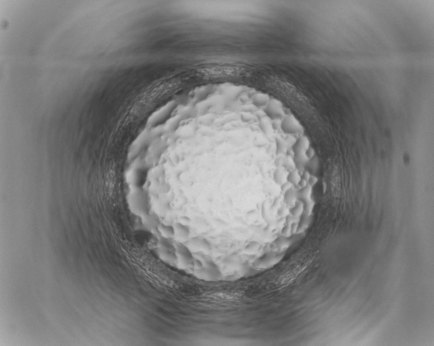 X0000060260737200511181353