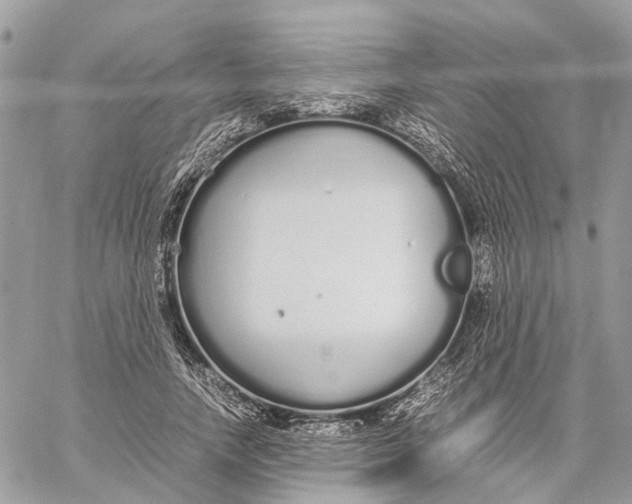 X0000060260738200511181353