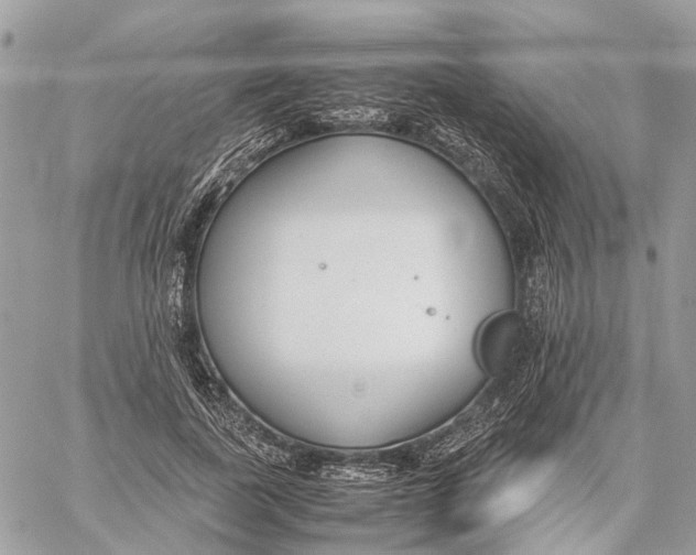 X0000060260739200511181353