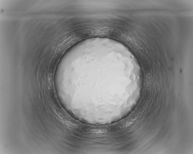 X0000060260741200511181353