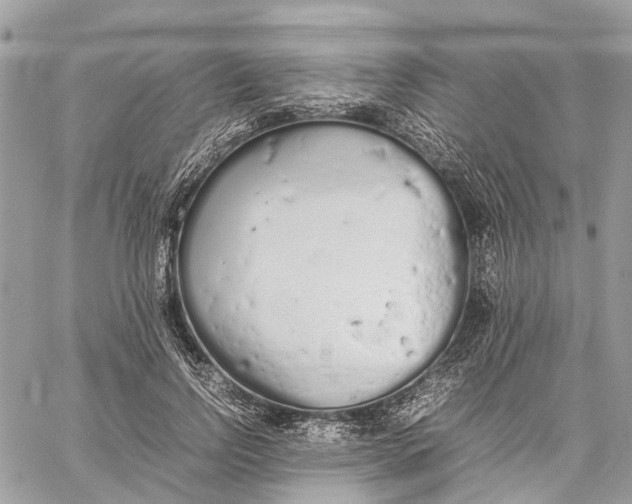 X0000060260742200511181353