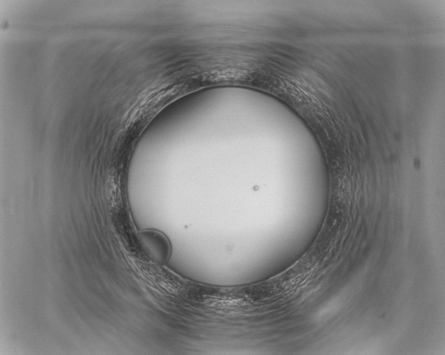 X0000060260743200511181354