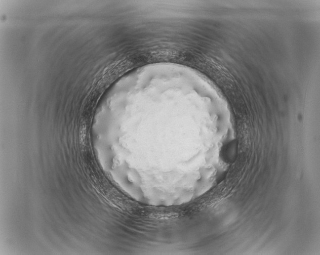 X0000060260745200511181354