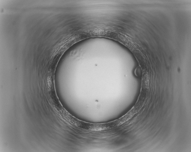 X0000060260746200511181354