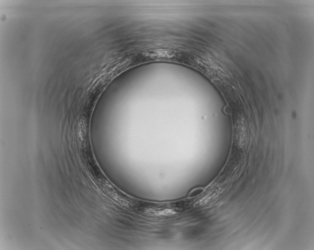 X0000060260747200511181354