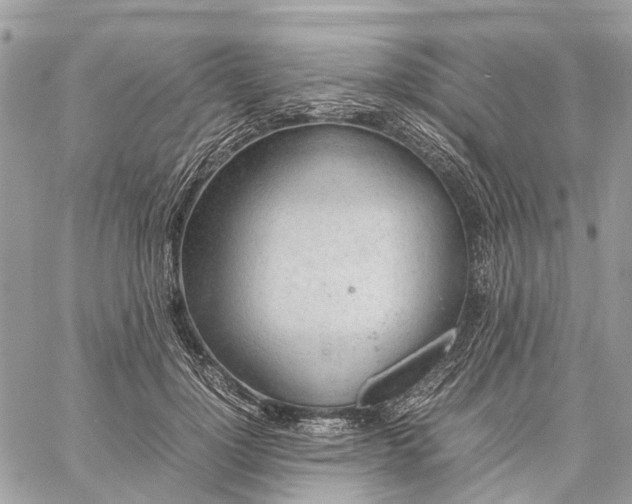 X0000060260748200511181354