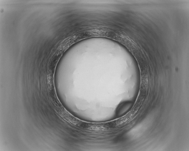 X0000060260749200511181354