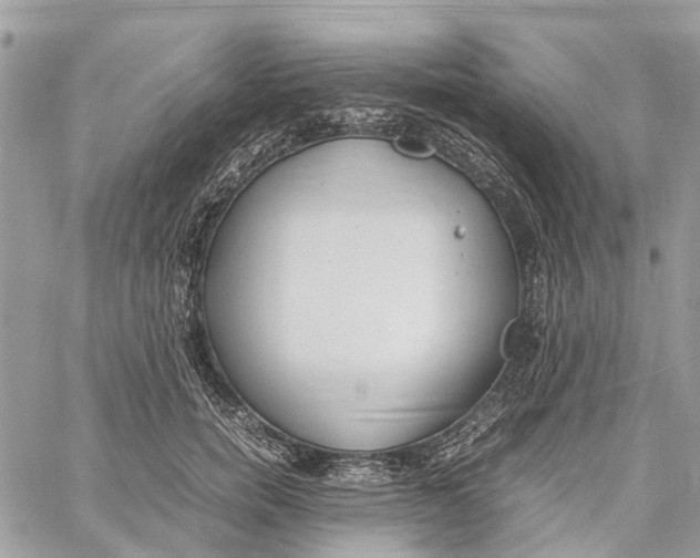 X0000060260750200511181354