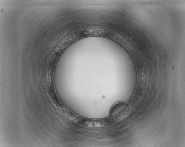 X0000060260751200511181354