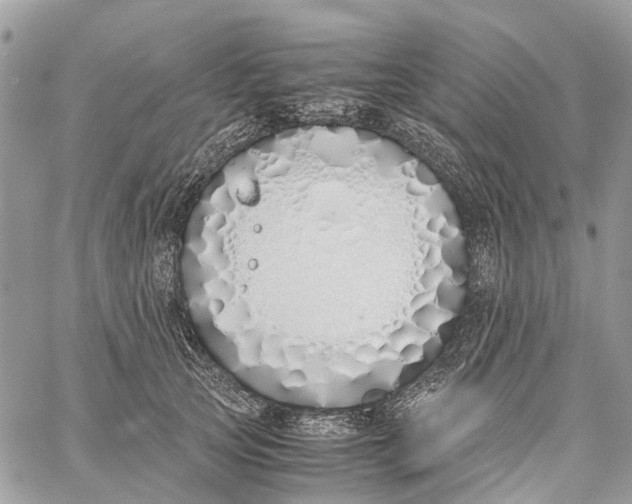 X0000060260753200511181354