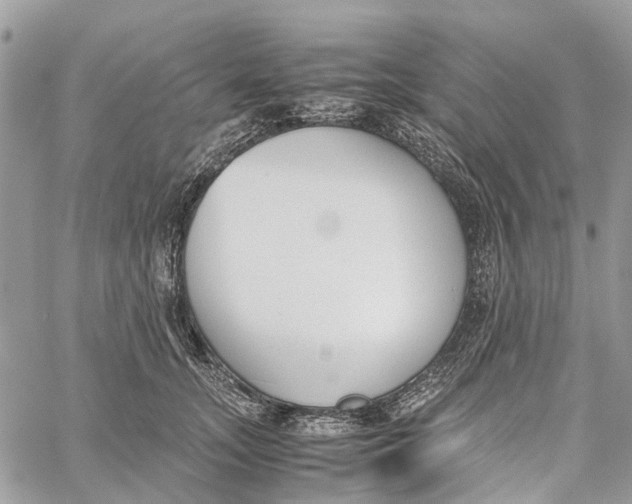 X0000060260755200511181354