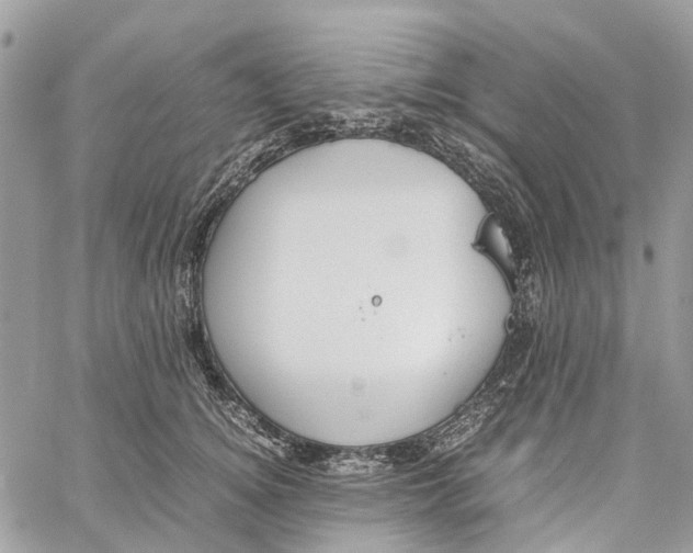 X0000060260756200511181354