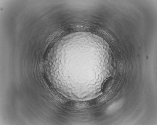 X0000060260757200511181354