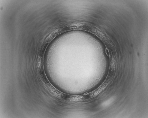 X0000060260758200511181354