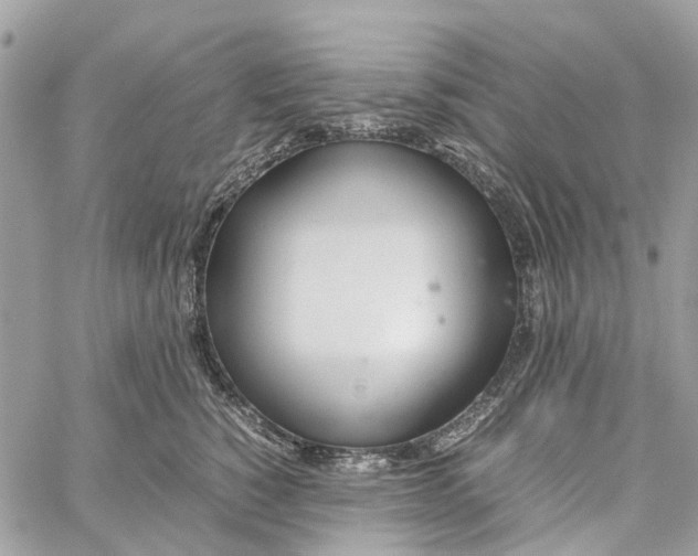 X0000060260760200511181354