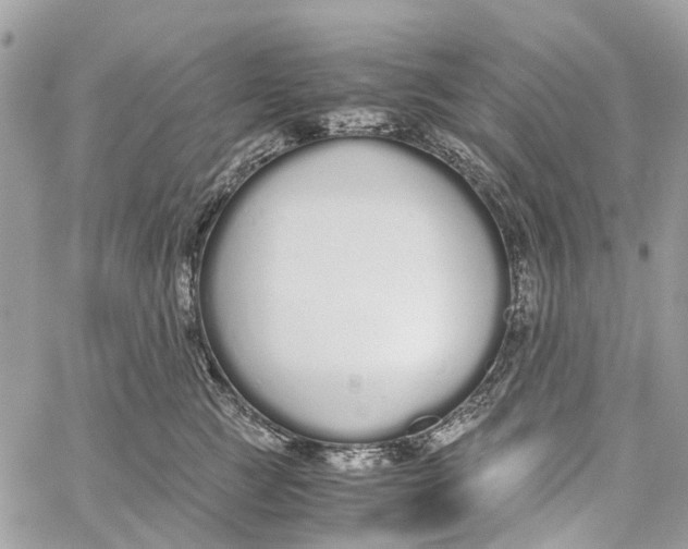 X0000060260761200511181354