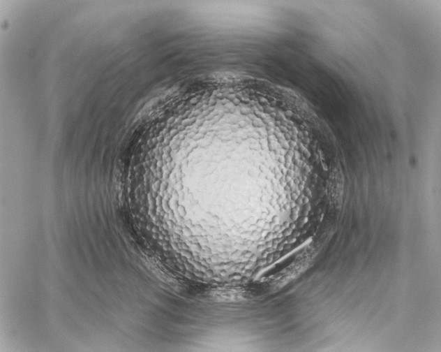 X0000060260762200511181354