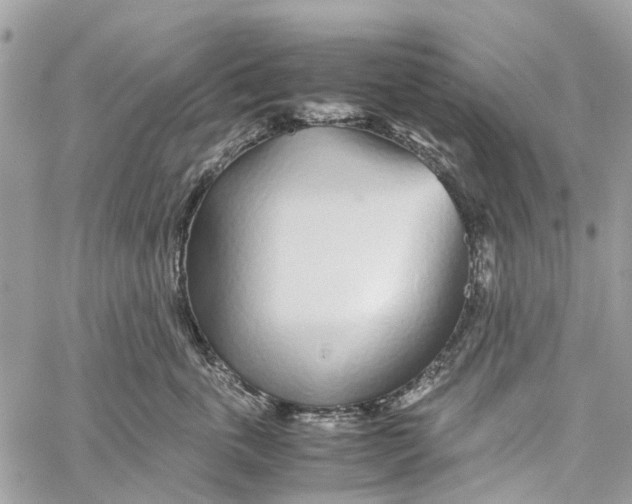 X0000060260763200511181354