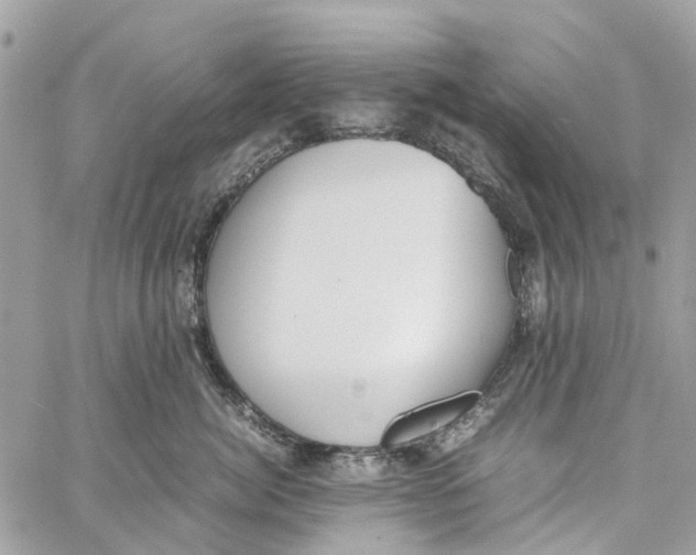 X0000060260764200511181354