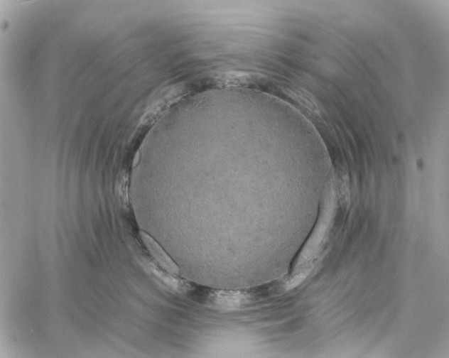 X0000060260766200511181354