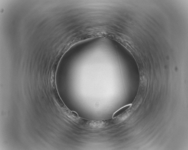 X0000060260767200511181354