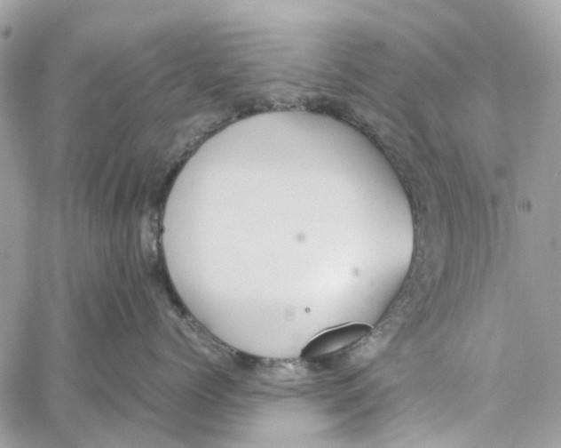 X0000060260768200511181354