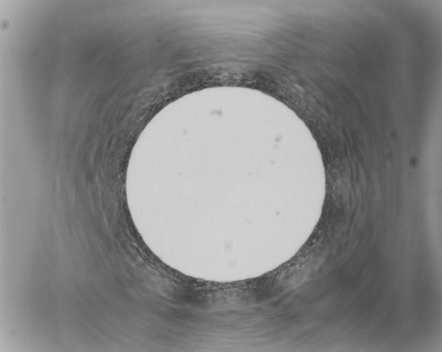 X0000060260769200511181353