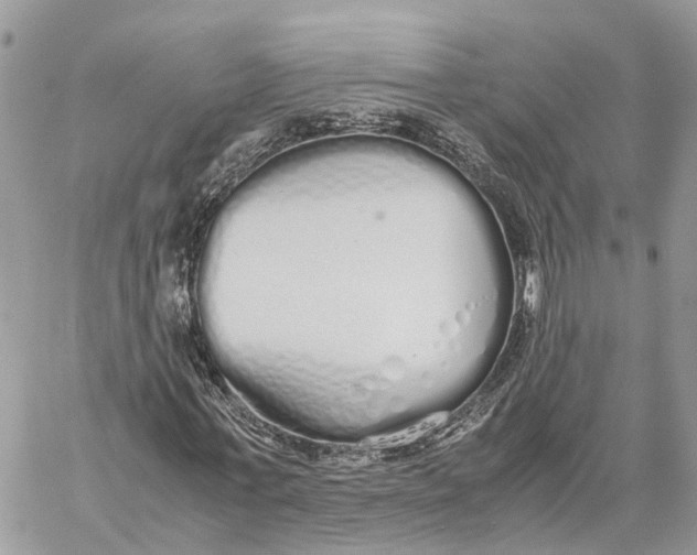 X0000060260771200511181353