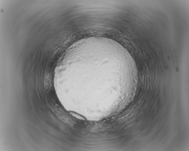 X0000060260772200511181353