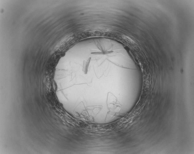 X0000060260774200511181353