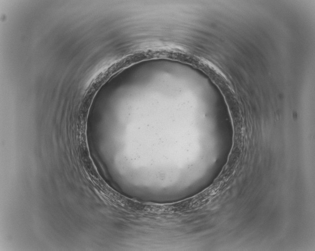 X0000060260775200511181353