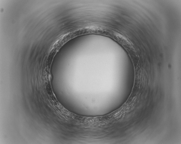 X0000060260776200511181353