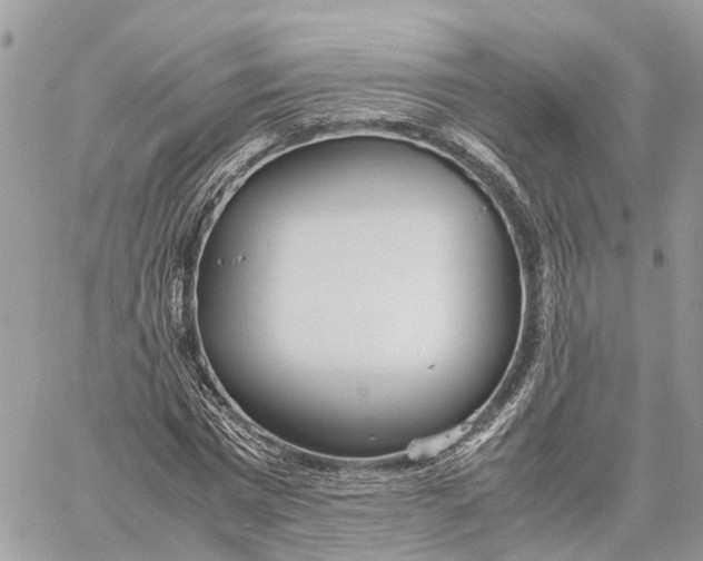 X0000060260777200511181353