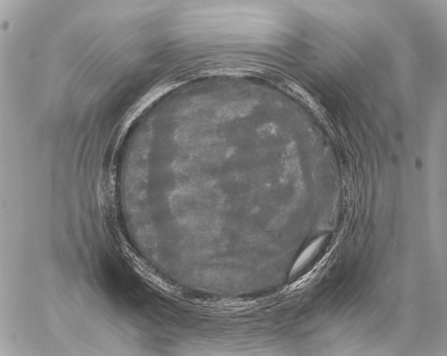 X0000060260779200511181353