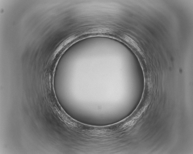 X0000060260781200511181353