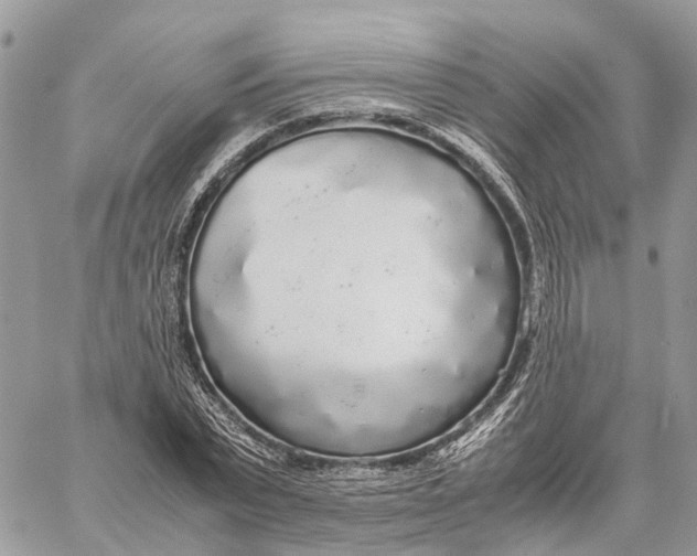 X0000060260783200511181353