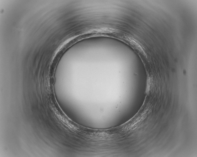 X0000060260784200511181353