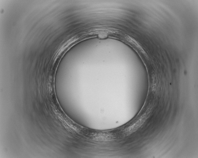 X0000060260786200511181353