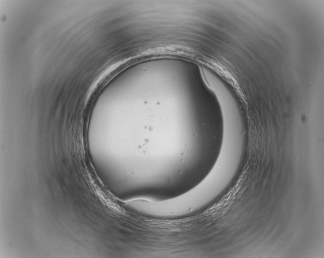 X0000060260792200511181353