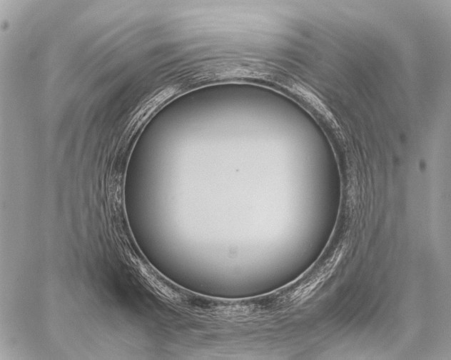 X0000060260793200511181353