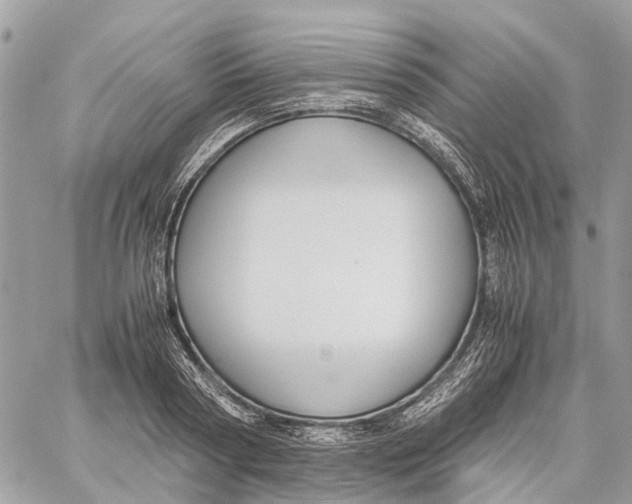 X0000060260794200511181353