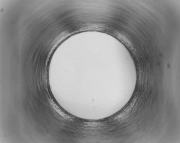 X0000060260800200511181353