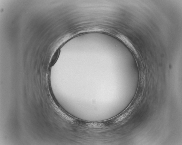 X0000060260805200511181353