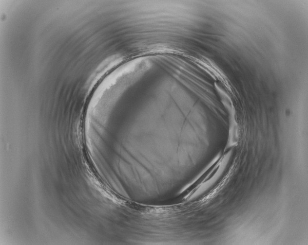 X0000060260806200511181353