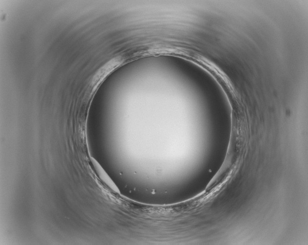 X0000060260809200511181352